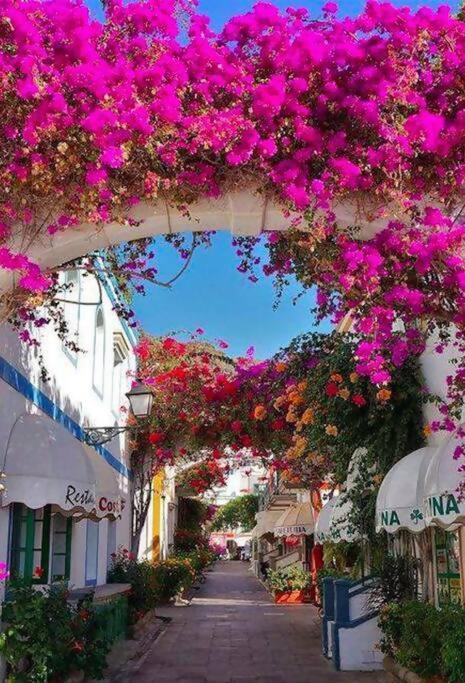 Alma Home ,6 Paxs ,Wifi , Playa Canteras, Ocio Las Palmas de Gran Canaria Eksteriør billede